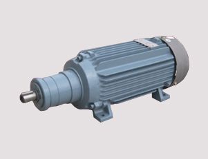 電機廠的高壓電機定期維護的內容是什么呢？